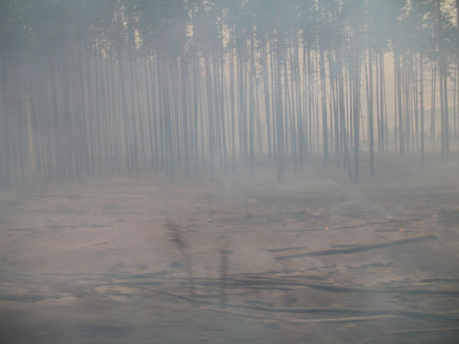 Лесной пожар в Подмосковье в 2010 году