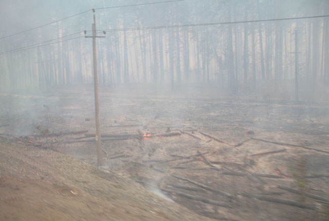 Лесной пожар в Подмосковье в 2010 году